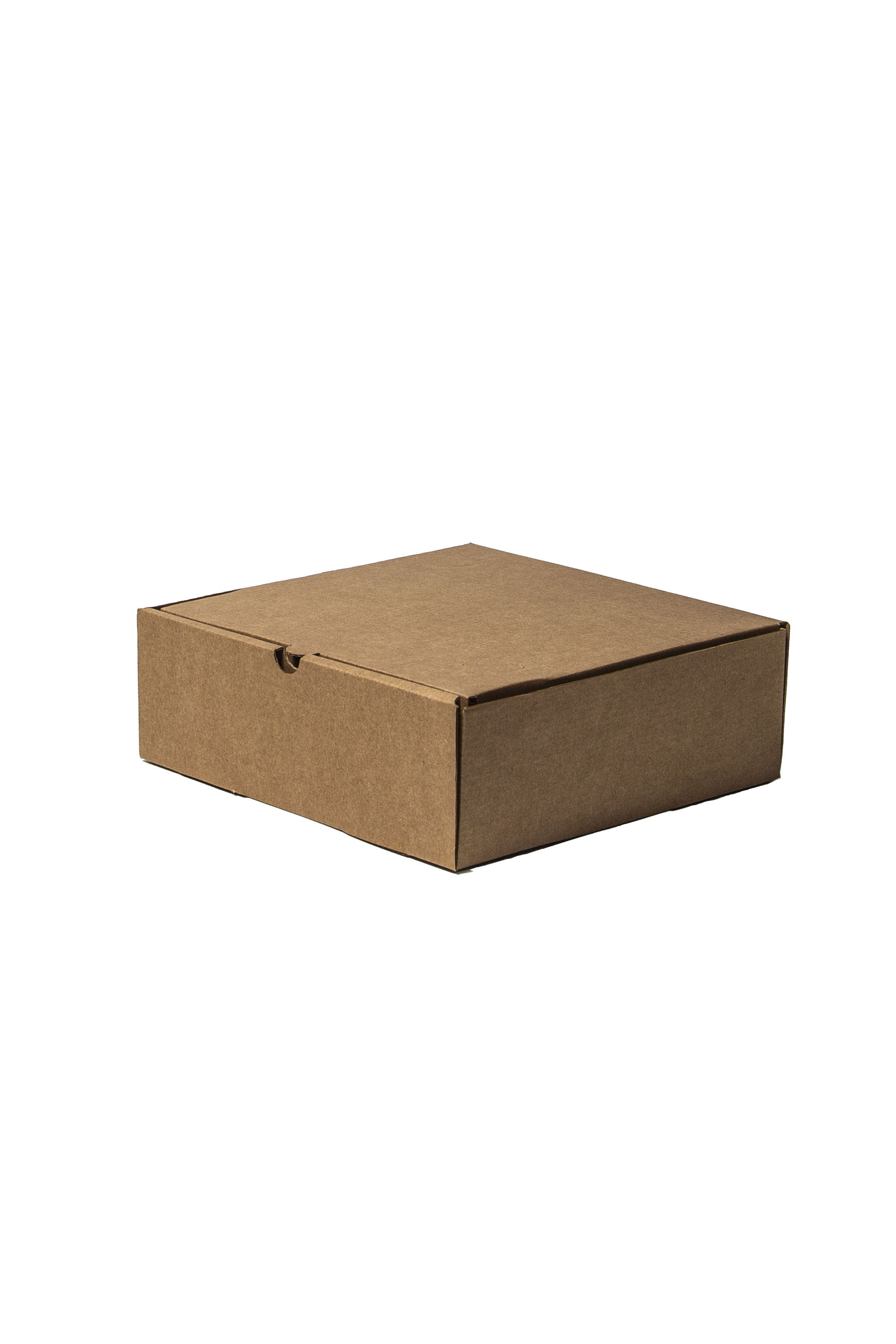 CAJA MARRON  23X23X8